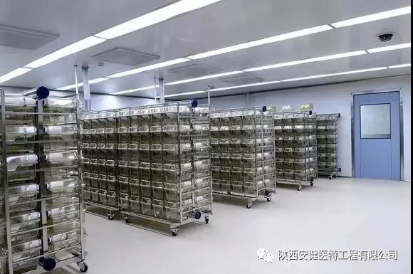 1623315313551077.jpg 1623315313551077.jpg