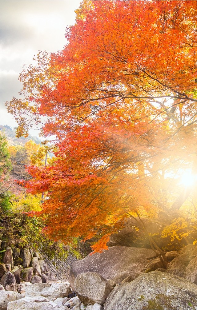 默认标题__2023-09-15 15_11_43.jpeg