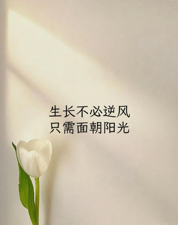 e973f716ly1hnbbgr33m6j20u011x48s.jpg