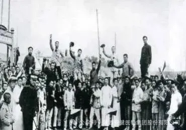 640 (1).webp (20).png