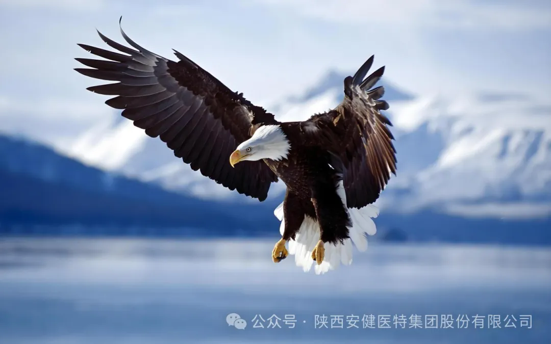 640 (1).webp (31).png