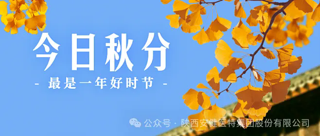 640.webp (3).png