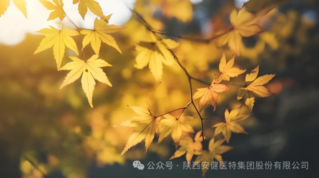 640.webp (4).png