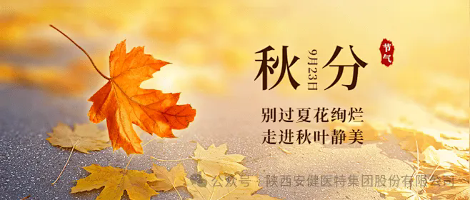 640.webp (5).png