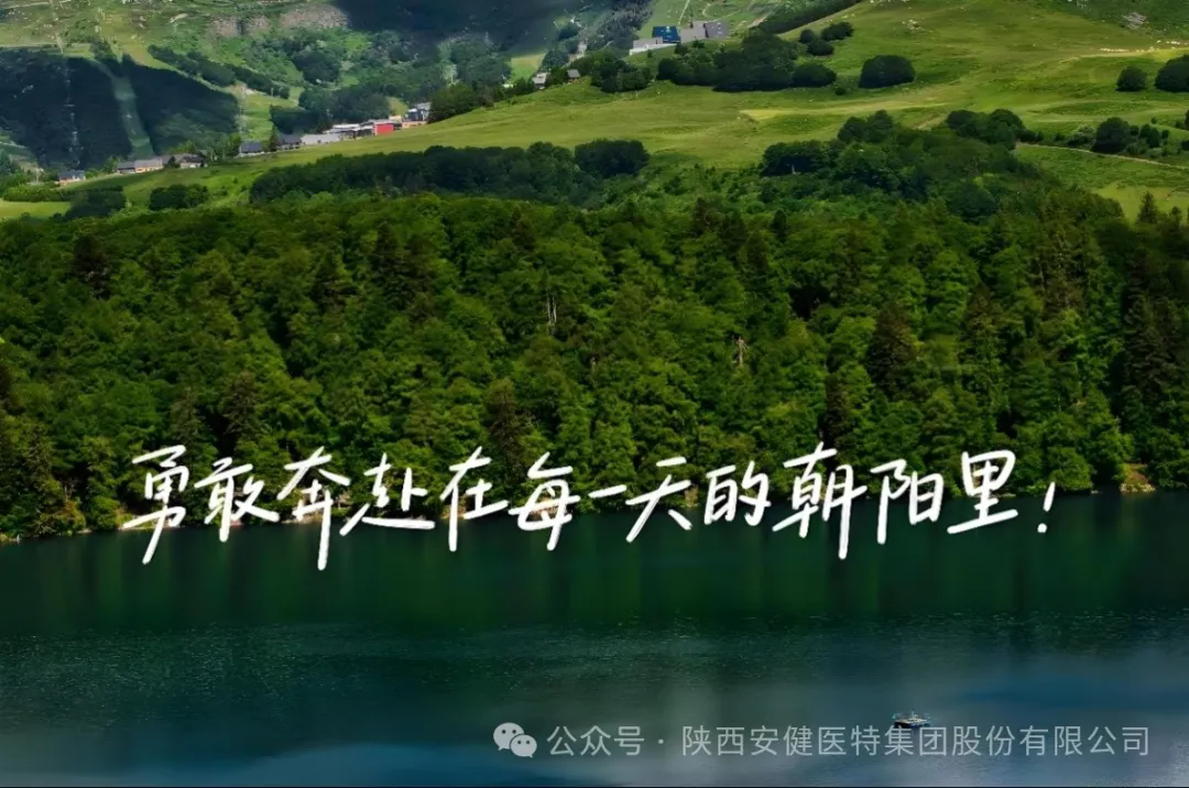 640.webp (21).png