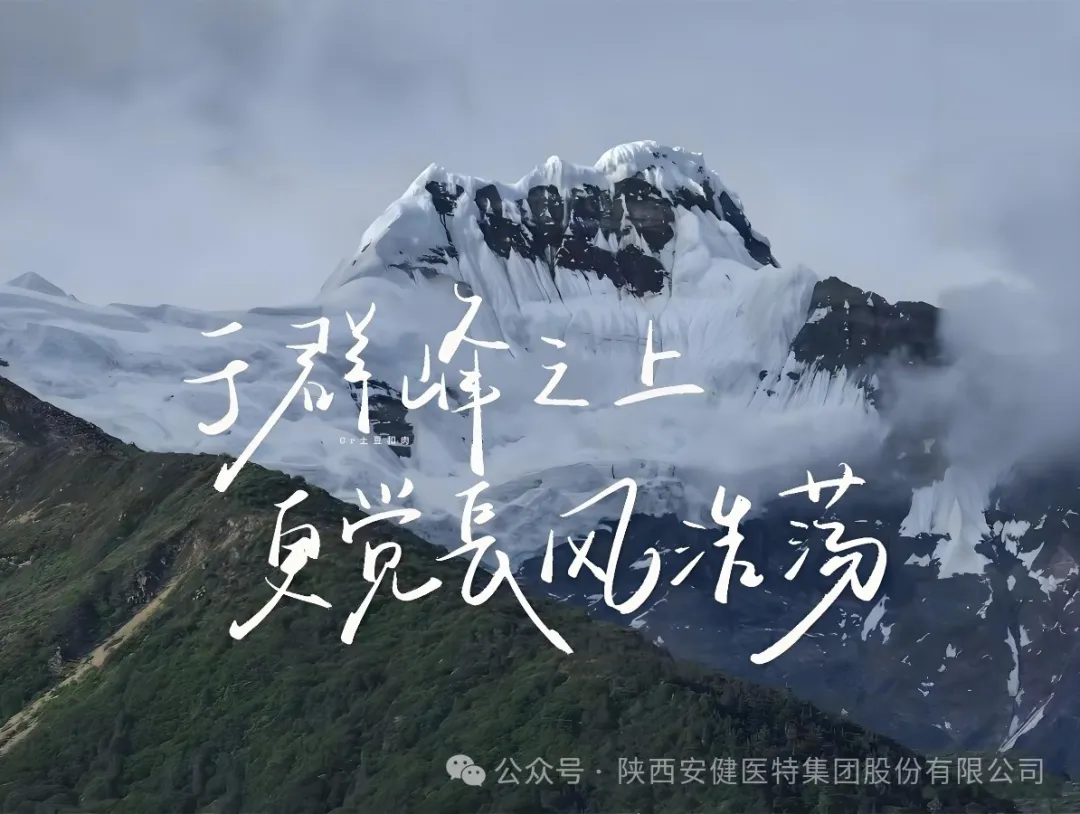 640.webp (23).png