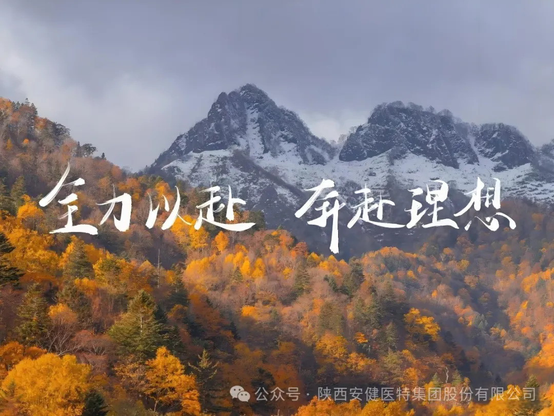 640.webp (24).png