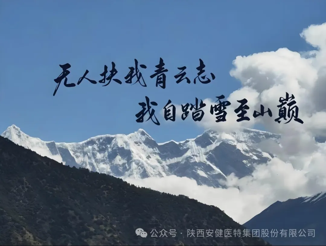 640.webp (2).png