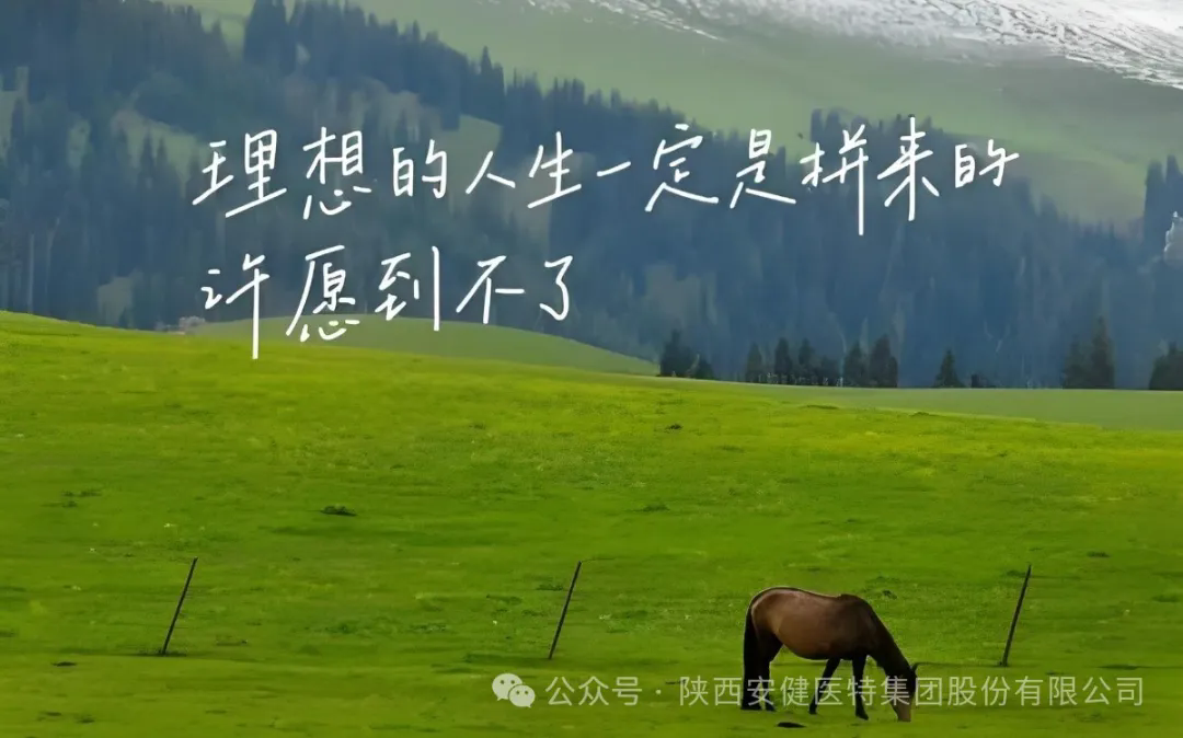 640.webp (56).png