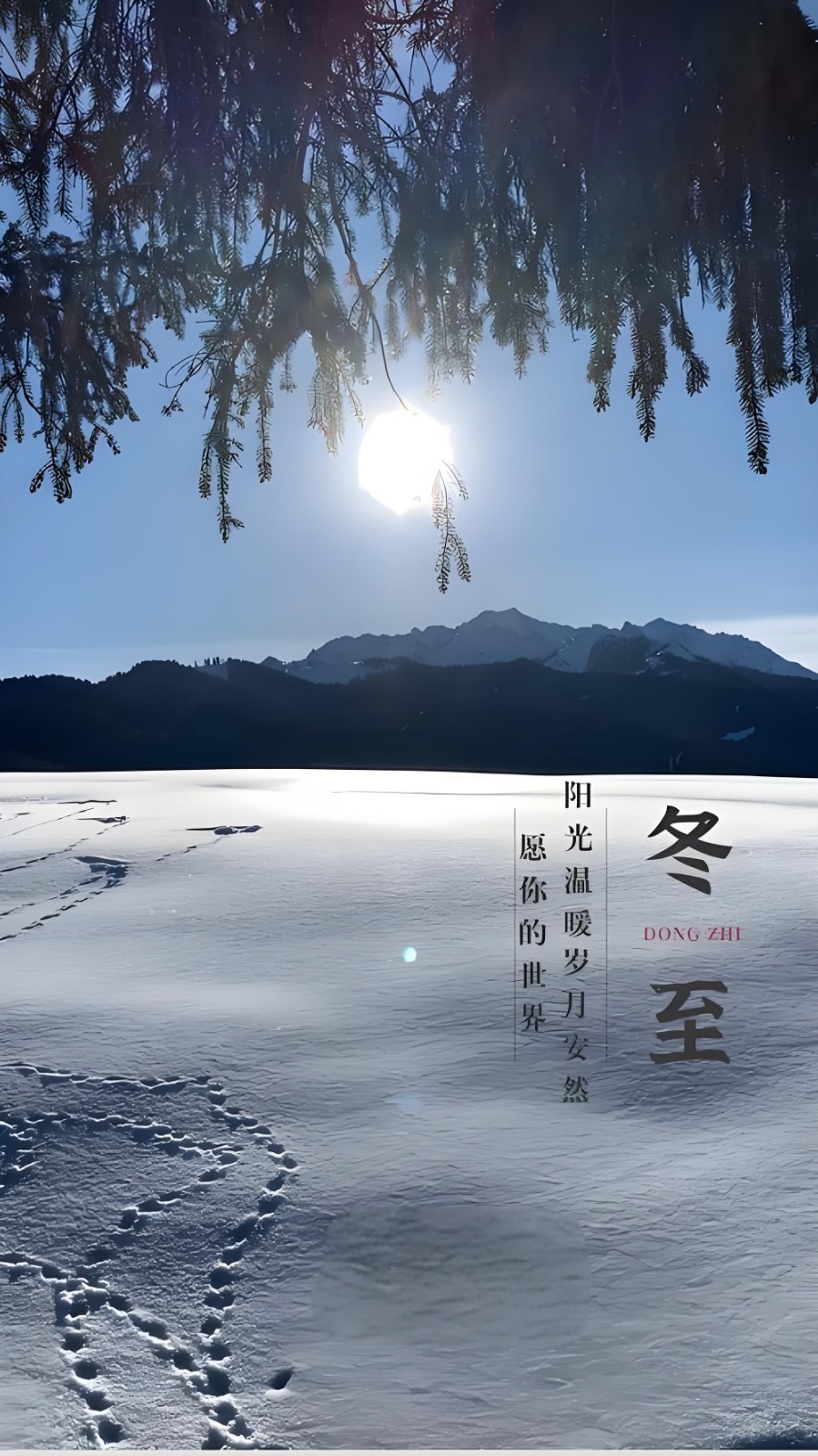 89ea7c3d-1a85-4883-9517-580fbf26df6a.jpg