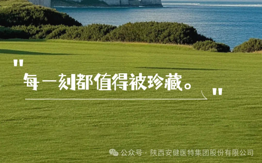 640.webp (5).png
