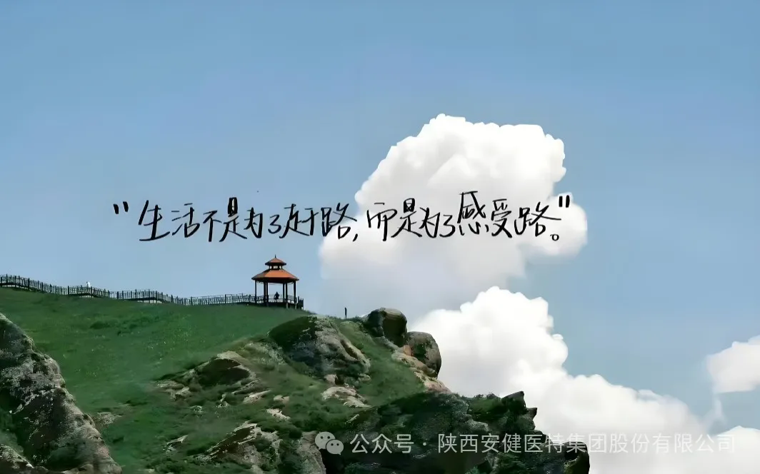 640.webp (10).png